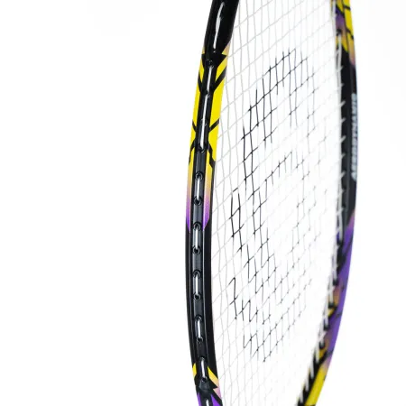 Ракетка бадм. TORRES Carbon PRO6, BD20521,для продв., стерж/обод из карбона,со струнами, фиол за 4&nbsp;477.80 ₽ купить в Астрахани