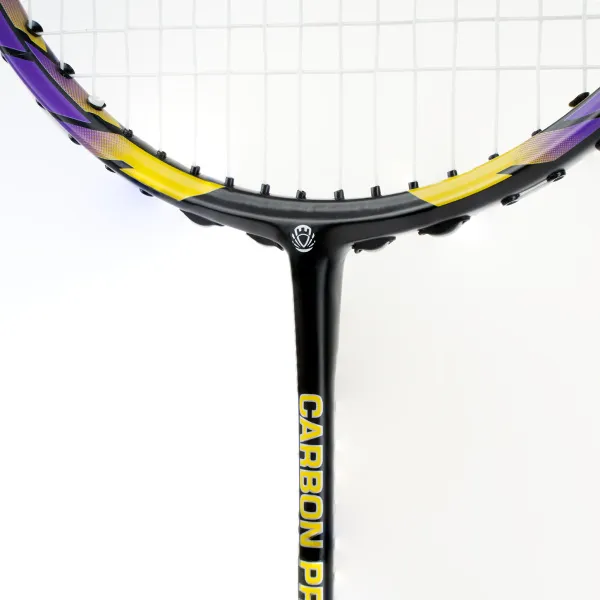 Ракетка бадм. TORRES Carbon PRO6, BD20521,для продв., стерж/обод из карбона,со струнами, фиол за 4&nbsp;477.80 ₽ в Астрахани